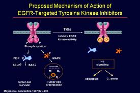 Tyrosine-kinase remmers 2